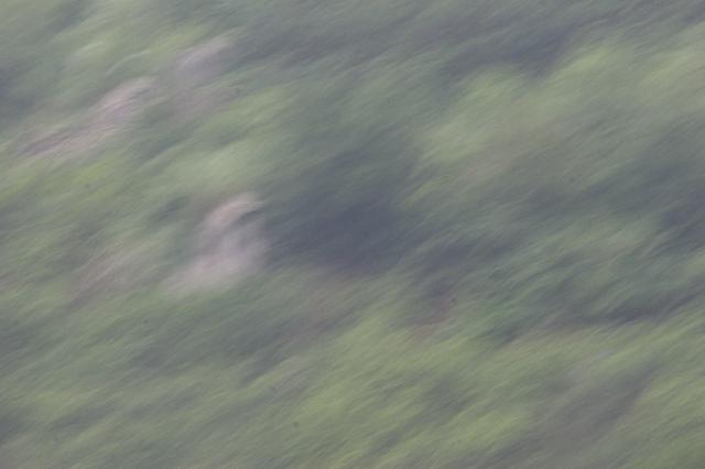 2006_06_2711 