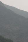 2006_06_2453