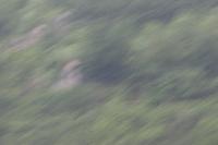 2006_06_2711 