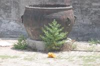 2006_06_2827 