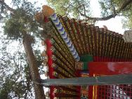 DSCN2218 