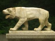 CIMG1360 