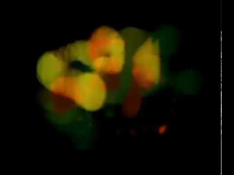 Video preview: Here's a video I created which shows a compressed version of my performance at Different Skies 2007. 2 hours of…